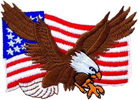 Grafik Toz ABD ABD Bayrağı Kel Kartal Işlemeli Demir on Patch Amerika Birleşik Devletleri Bayrağı Şahin Şahin Ordu