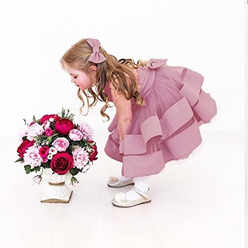 3 M-6 T Bebek Kız Fırfır Dantel Backless Pageant Elbise Toddler Tutu Elbise Çiçek Tül Parti Elbiseler