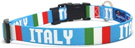 Köpek Tasması / İtalya Bayrağı ve Adı / Ulusal Bayramlar, Özel Etkinlikler, Festivaller, Bağımsızlık Günleri ve Her