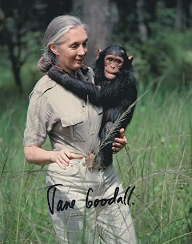 Jane Goodall İmzalı 8X10 Fotoğraf