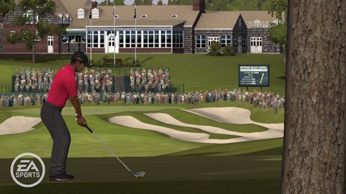 Tiger Woods PGA Turu 10 (Wii)