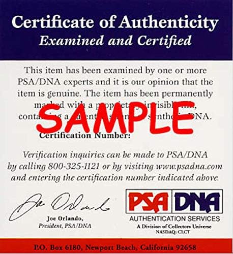 Joe Schmidt PSA DNA İmzalı 8x10 İmzalı Fotoğraf Aslanları