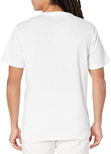 Carhartt erkek Rahat Fit Orta Ağırlık Kısa Kollu ABD grafikli tişört