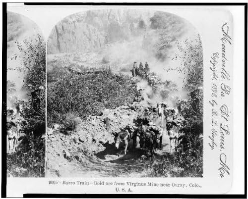 Tarihselfindings Fotoğraf: Burro Treni, Altın Cevheri, Virginus Madeni, Ouray, Colorado, CO, c1898, Altın Madenciliği,