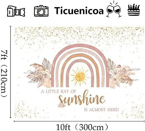 Ticuenicoa 10×7ft Boho Gökkuşağı Bebek Duş Zemin Küçük Bir Güneş ışığı Neredeyse Burada Bebek Duş Partisi Afiş Duvar