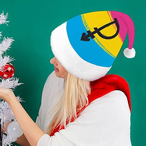 Pansexual Gurur Sembol Ve Bayrak Noel Şapka İçin Yeni Yıl Tatil Parti Cosplay
