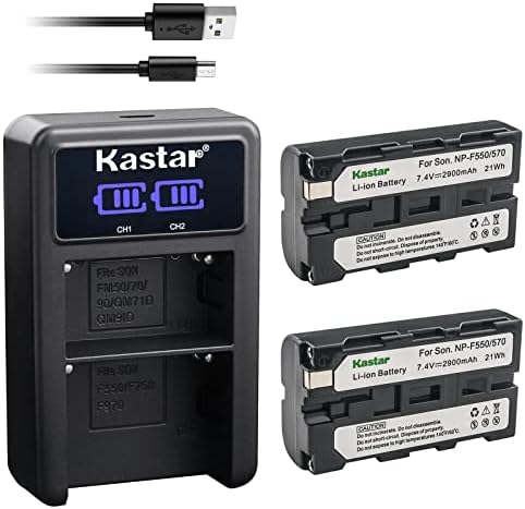 Kastar 2-Pack NP-F570 Pil ve LED2 USB şarj aleti ile Uyumlu DCR-TRV110 DCR-TRV120 DCR-TRV125 DCR-TRV130 DCR-TRV203