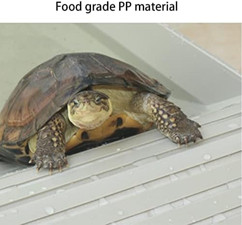 BETYMAO Plastik Sürüngen Banyo Çanak ile Rampa Kaplumbağa Pişirme Platformu Rampa Kaplumbağa İçme Çanak Sürüngen Dinlenme