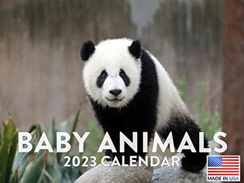 Bebek Hayvan Takvimi 2023 Aylık Duvara Asılı Takvim Sevimli Bebekler Evcil Hayvan Doğa Yavru Kedi Küçük Büyük Planlayıcı