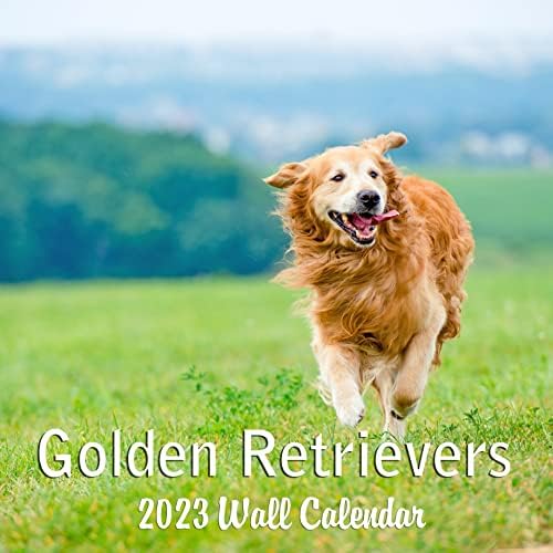 Golden Retriever Köpekler Yavru Köpekler Goldies Aylık 2023 2022'den itibaren Dört Bonus Aylık Asılabilir Duvar Takvimi