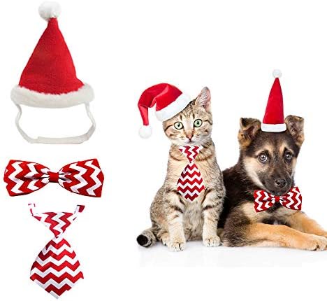 MASCARE Noel Pet Kostüm Yaka ve Santa Şapka ve Papyon Kırmızı
