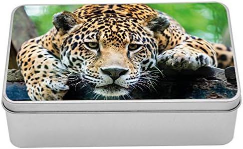 Ambesonne Jungle Metal Kutu, Güney Amerika Jaguar Vahşi Hayvan Etobur Nesli Tükenmekte Olan Kedi Savan Görüntüsü,