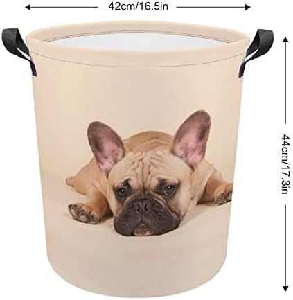 Sevimli Fransız Bulldog Katlanabilir çamaşır sepeti çamaşır Sepeti Kolları ile Çamaşır Kutusu Kirli Giysiler Çanta